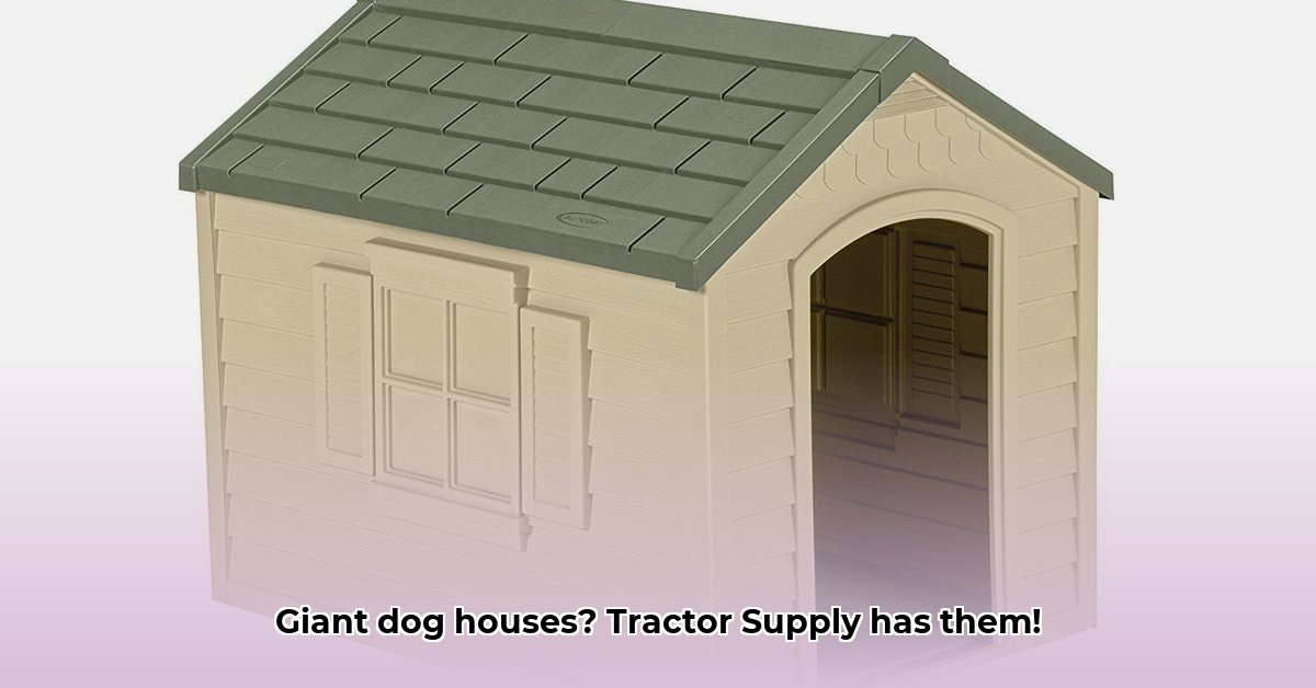 large-dog-houses-tractor-supply